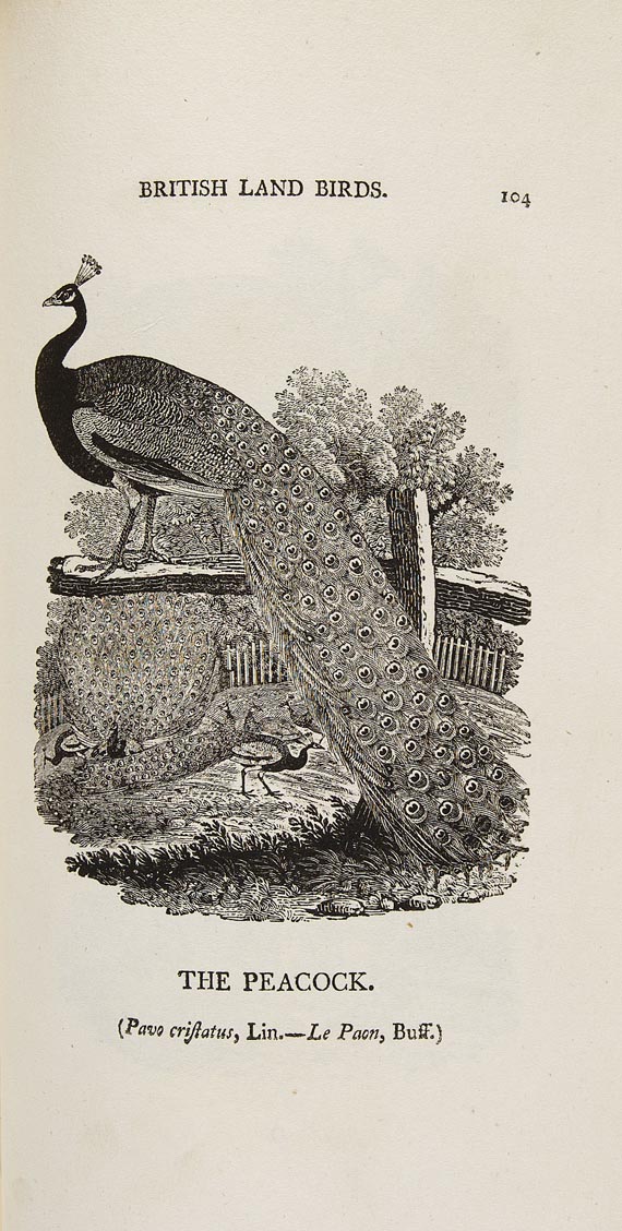 Thomas Bewick - British Land Birds. 1800