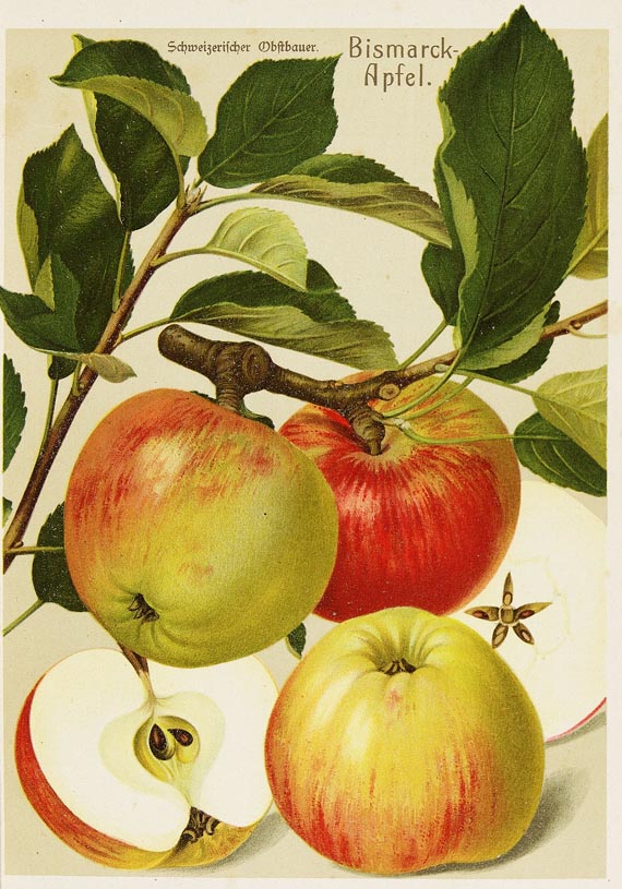 Schweizerische Obstbauer - Der Schweizerische Obstbauer, 15 Bde. 1899-1916.