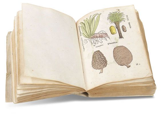 Herbarum, arborum, fruticum, frumentorum - Herbarum, arborum, fruticum, frumentorum. 1552