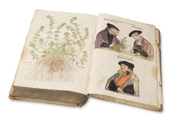 Leonhart Fuchs - De Historia stirpium. 1542.