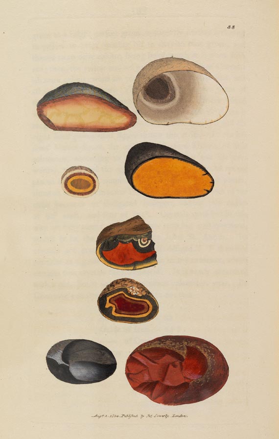 James Sowerby - British Mineralogy, Bd. 1, 1804 - 