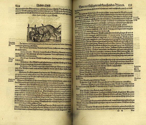 Caecilius Plinius Secundus - Bücher und Schriften (1600)