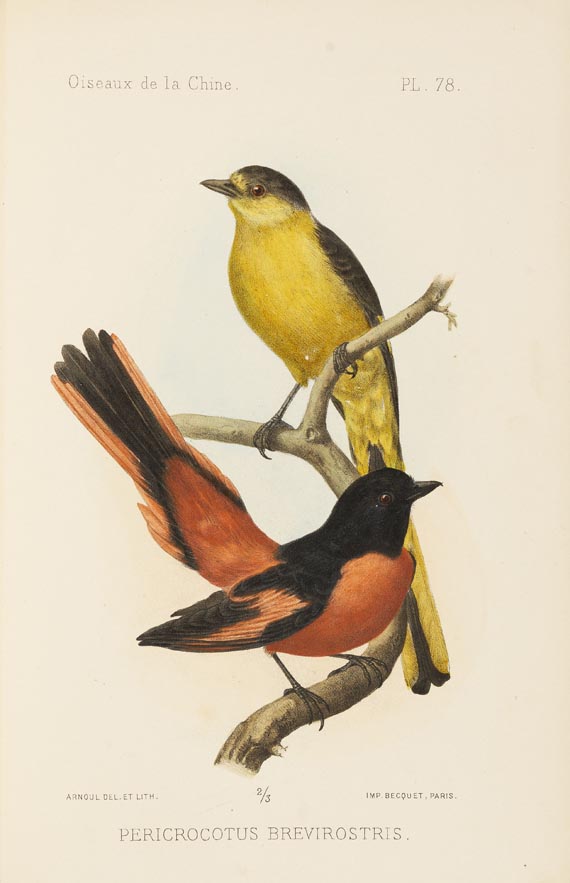 Armand David - Oustalet, Les oiseaux de la Chine. 1877. 2 Bde. - 