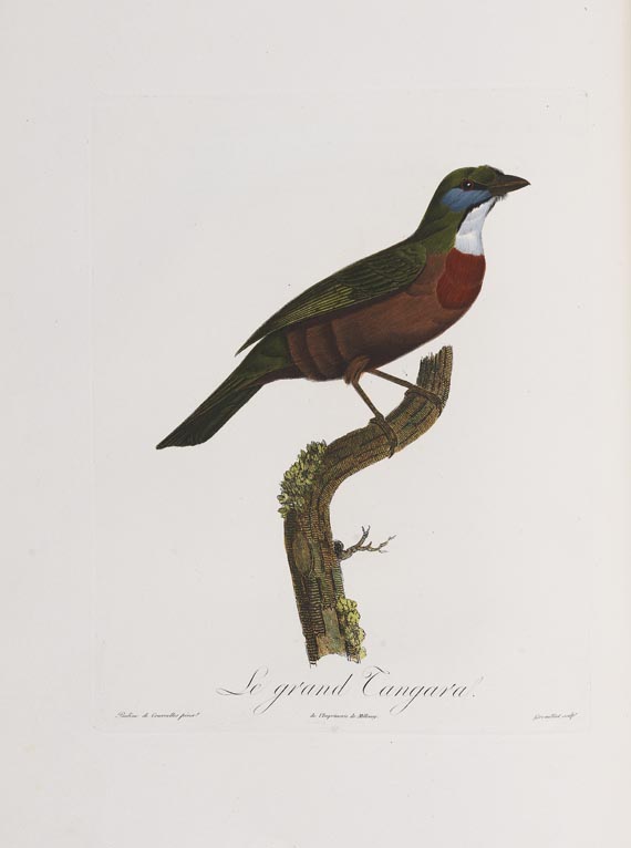 Anselme-Gaetan Desmarest - Histoire naturelle des Tangaras, des Manakins et des Todiers. 1805-07.
