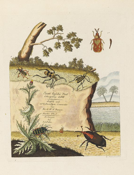 Johann Euseb Voet - Beschreibungen und Abbildungen hartschaalichter Insekten. 5 Bde. 1793-1802.