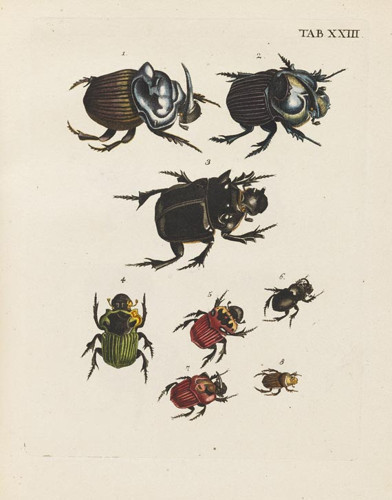 Johann Euseb Voet - Beschreibungen und Abbildungen hartschaalichter Insekten. 5 Bde. 1793-1802.