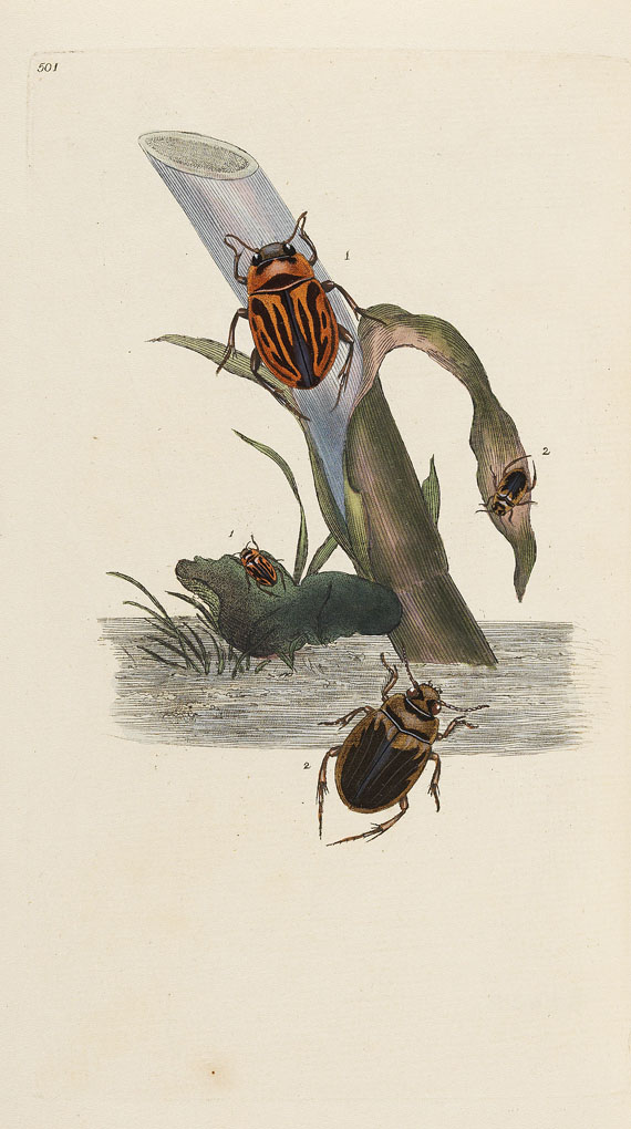 E. Donovan - Natural history of british insects. 8 Bde. 1794-1813. - 