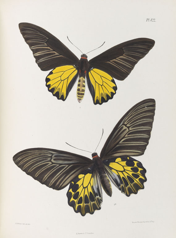 Frederic Moore - Lepidoptera Indica. 1890-1913. 10 Bde.. - 