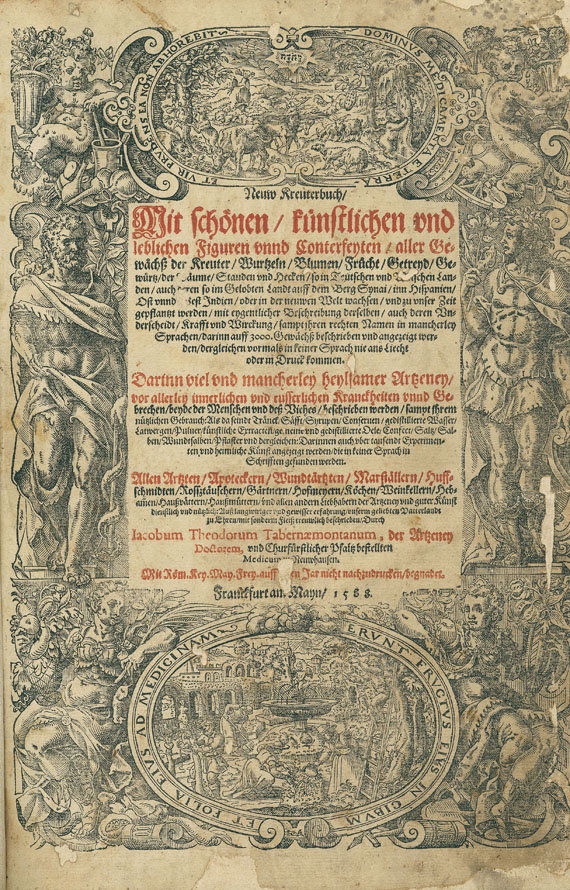 Jacobus Theodorus Tabernaemontanus - Neuw Kreuterbuch. 1588.
