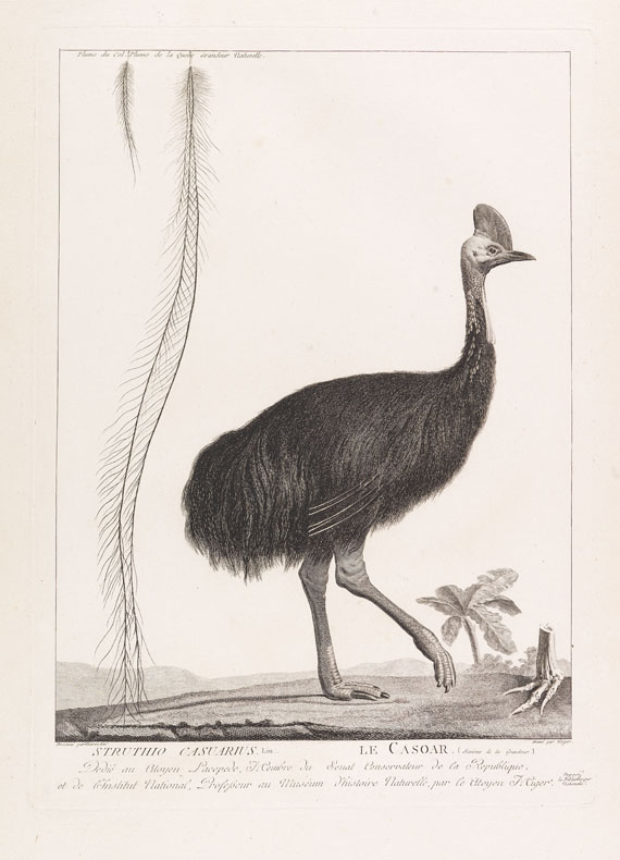 B. G. E. de Lacépède - La ménagerie du Museum National d`Histoire Naturelle. 1800-1801.