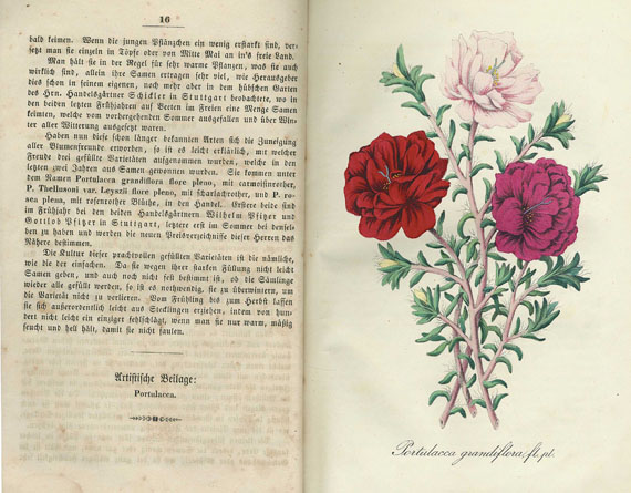   - Deutsches Magazin für Garten- und Blumenkunde. 4 Bde. 1854-68