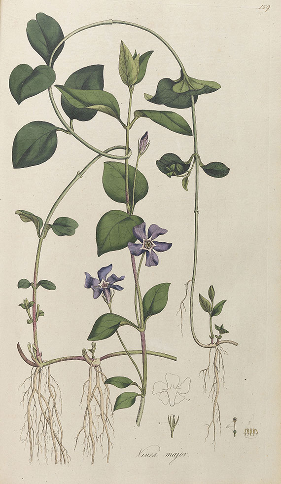 William Curtis - Flora Londinensis. 2 Bde. 1775-1798.