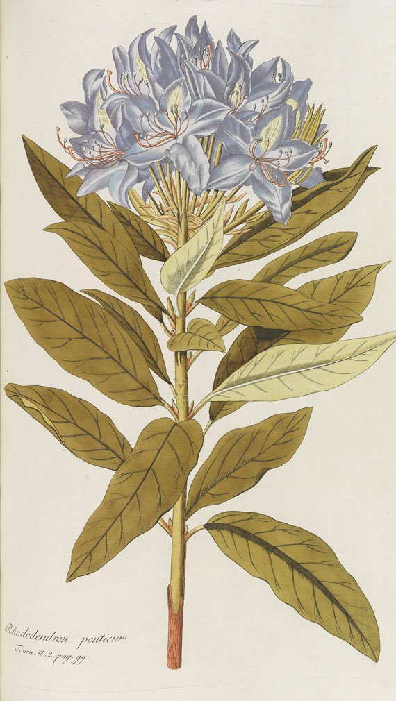 Nicolaus Joseph Jacquin - Icones Plantarum Rariorum. 1781-93