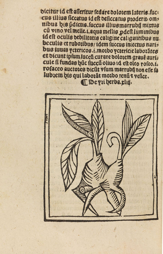 Floridus Macer - (d. i. Odo von Meung), De viribus herbarum.