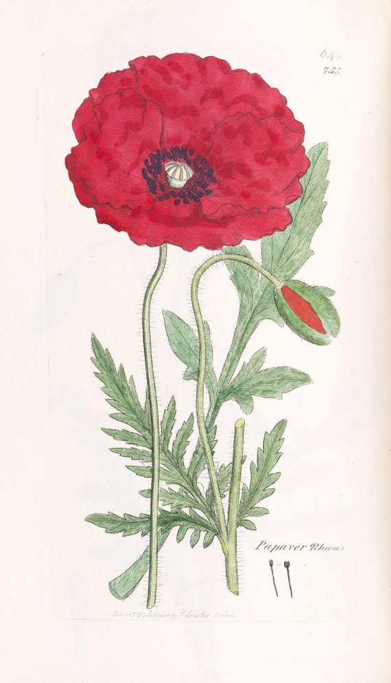 James Sowerby - English botany. 12 Bde. 1832-46