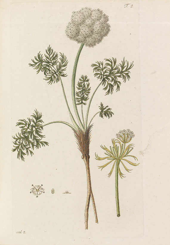 Nicolaus Joseph Jacquin - Miscellanea Austriaca ad botanicam - 