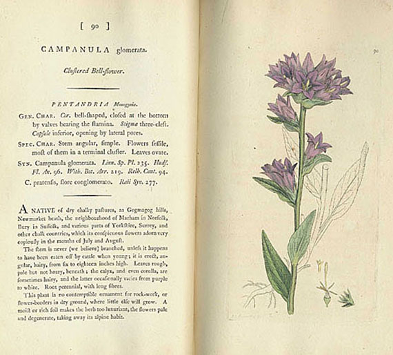 James Sowerby - English Botany. 7 Bde. Dabei: Medical Botany. 6 Bde.
