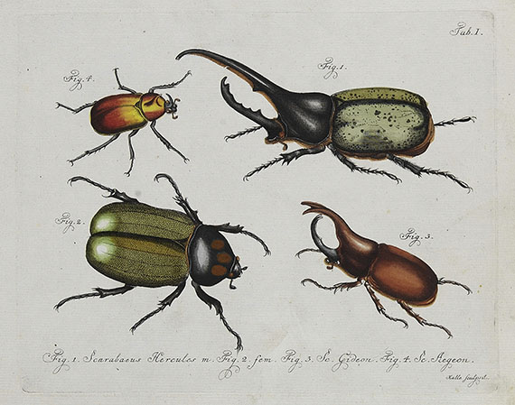 Carl Gustav Jablonsky - Insekten. Dabei: Cicaden
