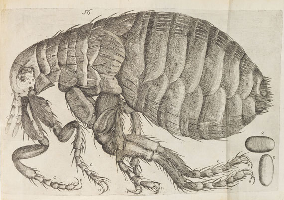 Philipp Bonanni - Observationes circa viventia. 1691