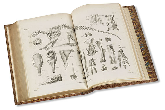 Georges Cuvier - Recherches sur les ossemens fossiles. 7 Bde.
