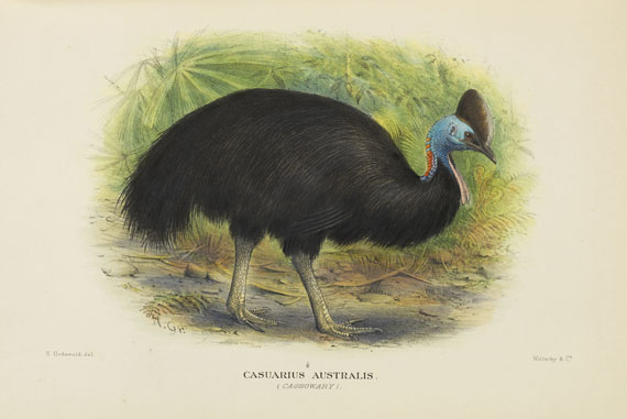 Gregory McAlister Mathews - Birds of Australia. 12 Bände