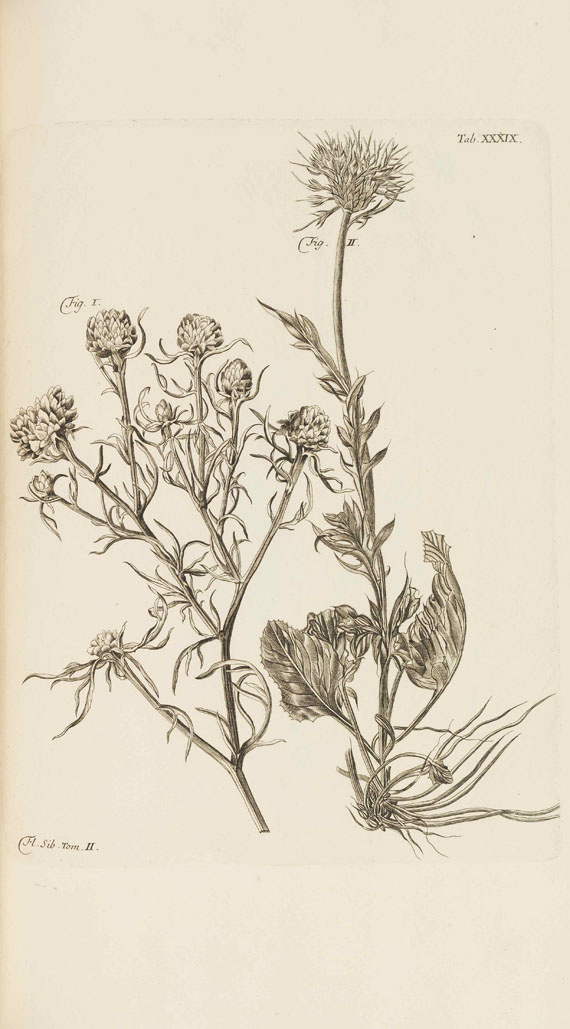 Johann Georg Gmelin - Flora Sibirica