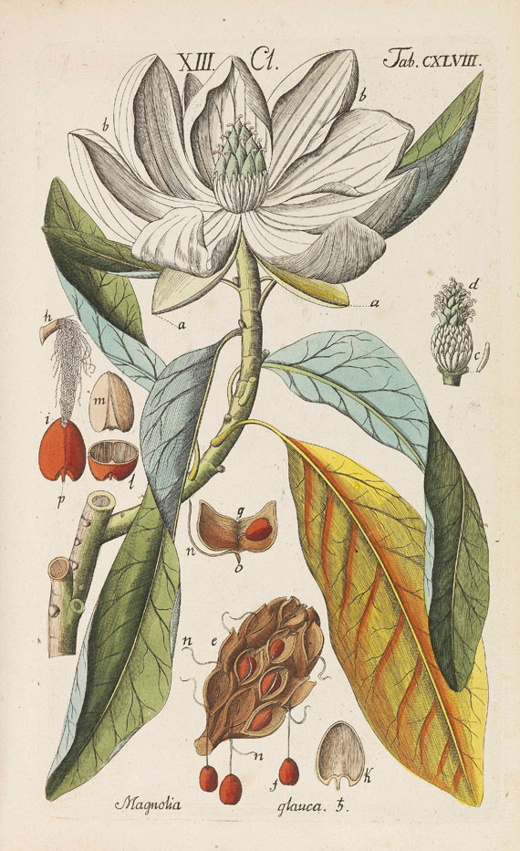 Christian Schkuhr - Botanisches Handbuch