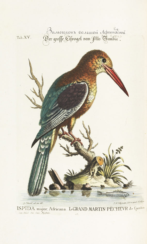 Johann Michael Seligmann - Sammlung verschiedener ausländischer und seltener Vögel, Bd. I und II