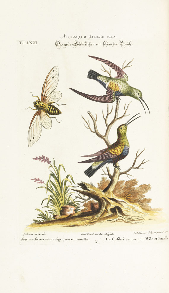 Johann Michael Seligmann - Sammlung verschiedener ausländischer und seltener Vögel, Bd. I und II