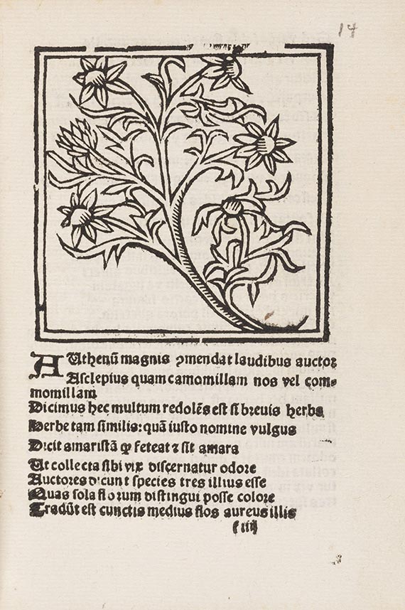 Macer Floridus - Herbarum varias