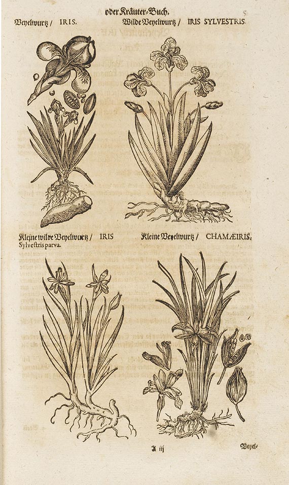 Johann J. Becher - Parnassus medicinalis illustratus