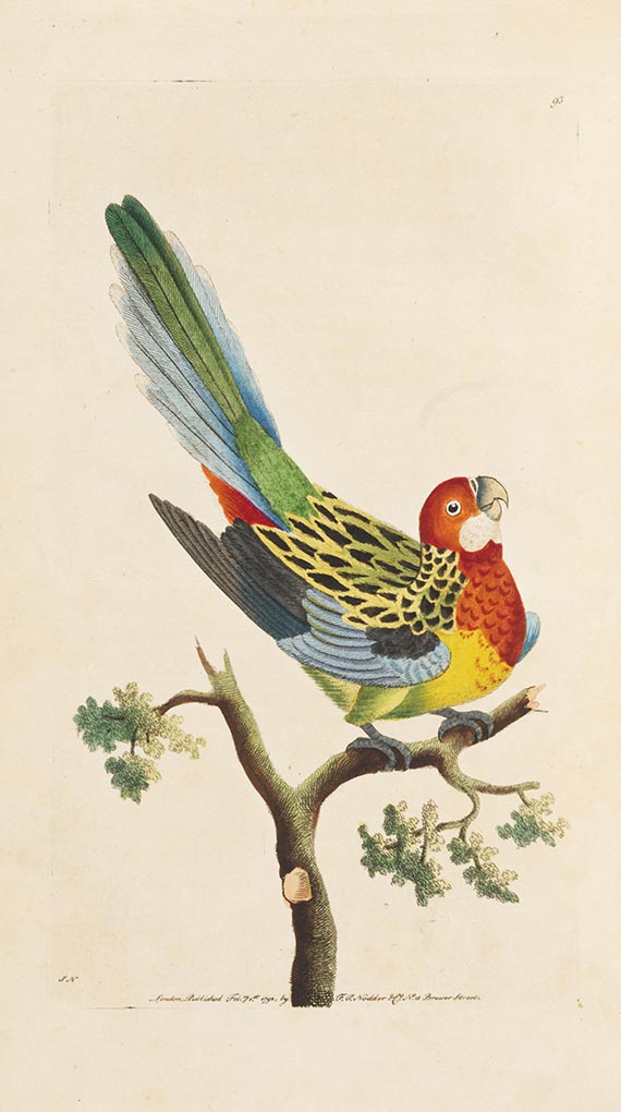 George Shaw - Vivarium naturae ... The Naturalist's Miscellany