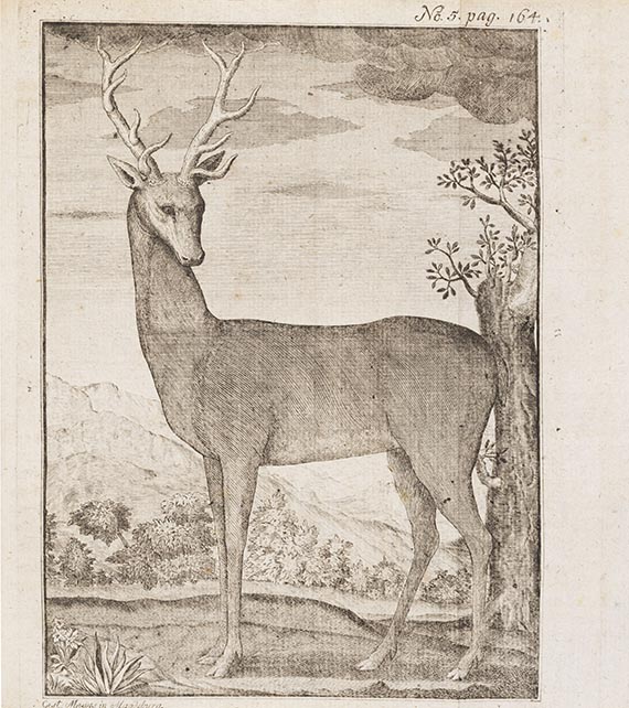  Le Verrier de la Conterie - Normannischer Jäger oder die neuste Jagdschule