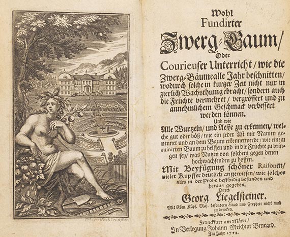 Georg Liegelsteiner - Wohl fundirter Zwerg-Baum. - Dabei: Anthophilus, Garten-Buch