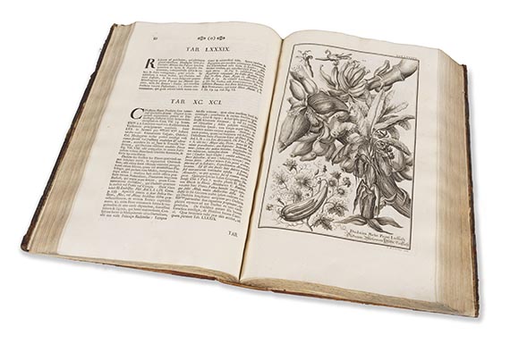 Johann Jakob Scheuchzer - Physica Sacra - 