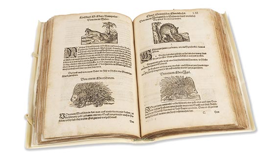 Marx Rumpolt - Ein new Kochbuch