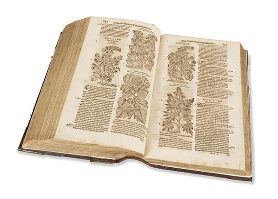 Jacob Theodor Tabernaemontanus - Neu vollkommen Kräuter-Buch