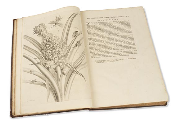 Maria Sibylla Merian - Surinaamsche Insecten (&) Europische Insecten - 